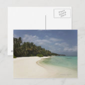 Ongerepte strand en kokospalmen. briefkaart (Voorkant / Achterkant)