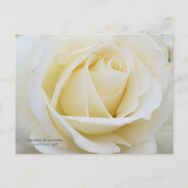 Ongerepte witte roos foto briefkaart