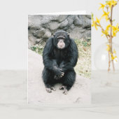 ongerust gemaakte chimpansee 787900-R1-13Azz Kaart (Gele Bloem)
