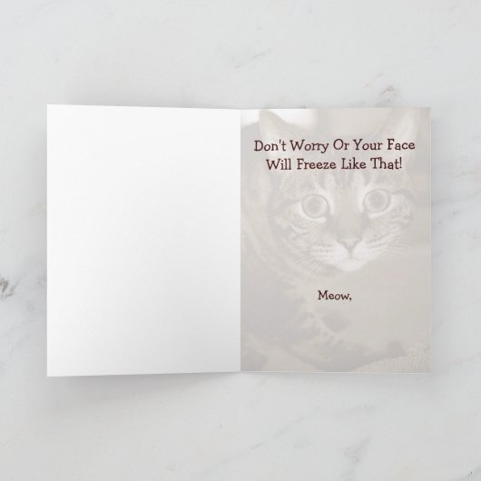 ongeruste kat kaart (Binnen)