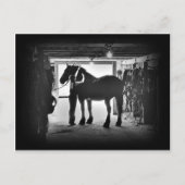 ongerustheid briefkaart (Voorkant)