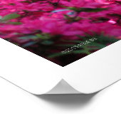 ONGETITELD Rhododendron Floral Photography Poster (Hoek)