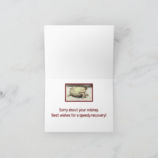 ONGEVAL HUMOR / SCHILDPAD DRAAIDE GEKANTELD OP ZIJ KAART (Binnen)