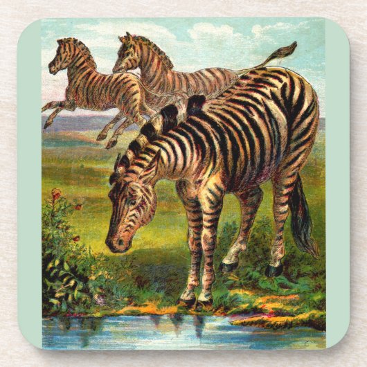 ongeveer 1.900 zebras bier onderzetter (Voorkant)