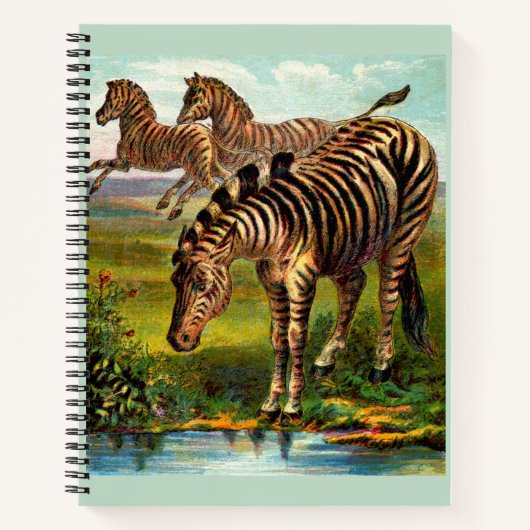 ongeveer 1.900 zebras notitieboek (Voorkant)