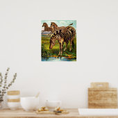 ongeveer 1.900 zebras poster (Keuken)