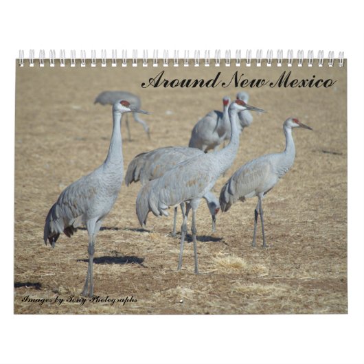 Ongeveer Nieuw Mexico Kalender (Hoes)