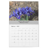 Ongeveer Nieuw Mexico Kalender (Feb 2027)