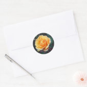 Ongeveer Roos #3 Sticker van het Gezicht (Envelop)