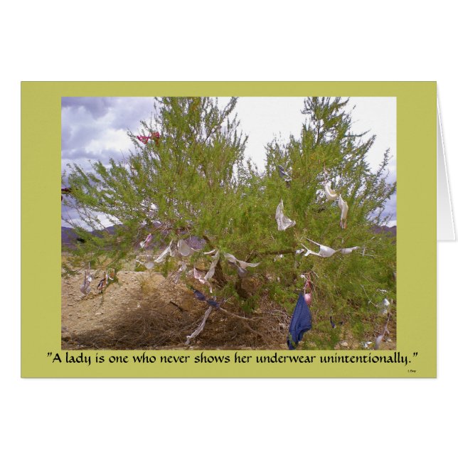 Ongewenst ondergoed (Voorkant Horizontaal)