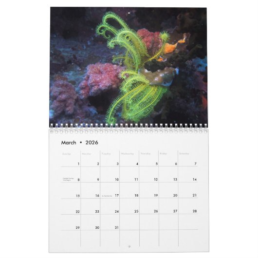 ongewervelde dieren van kalender Fiji 2020 (Mar 2026)