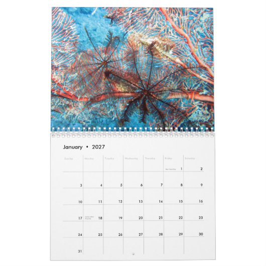 ongewervelde dieren van kalender Fiji 2020 (Jan 2027)