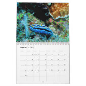 ongewervelde dieren van kalender Fiji 2020 (Feb 2027)