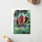Ongewone tijger Lily Notitiekaartje (Voorkant / Achterkant in situ)