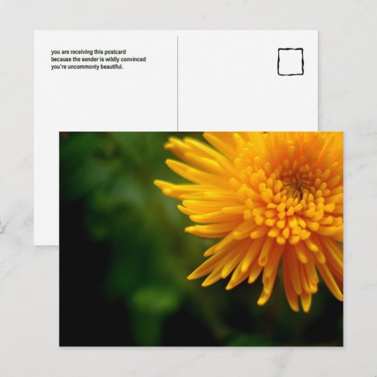 Ongewoon mooi briefkaart (mum) (Voorkant / Achterkant)