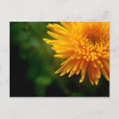 Ongewoon mooi briefkaart (mum) (Voorkant)