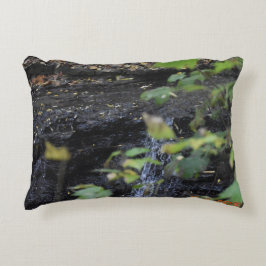 ongeziene stroom accent kussen