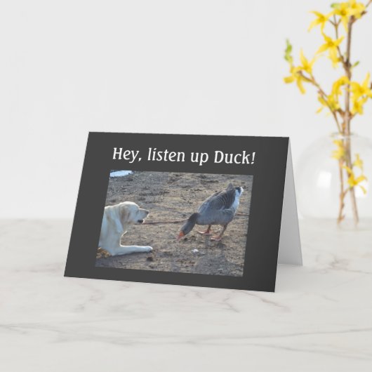 ONHANDELBARE EEND OVER DE KAART (Gele Bloem)