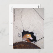 onhandige molen briefkaart (Voorkant / Achterkant)