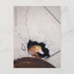 onhandige molen briefkaart