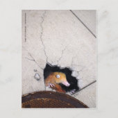 onhandige molen briefkaart (Voorkant)