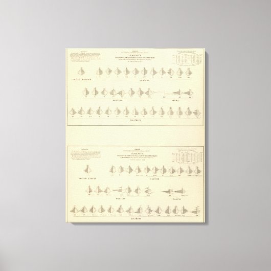 Onhygiëne, statistische Amerikaanse lithograaf Canvas Afdruk (Voorkant)