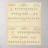 Onhygiëne, statistische Amerikaanse lithograaf Poster (Voorkant)