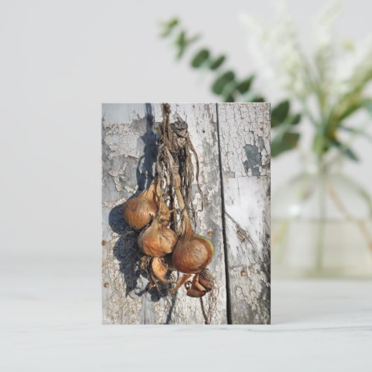 ONIES BRIEFKAART (Staand voorkant)