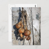 ONIES BRIEFKAART (Voorkant / Achterkant)