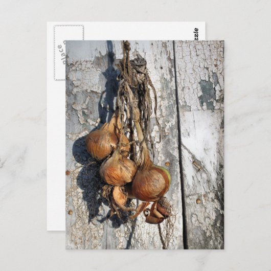 ONIES BRIEFKAART (Voorkant / Achterkant)