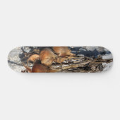 ONIES PERSOONLIJK SKATEBOARD (Horizontaal)