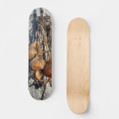 ONIES PERSOONLIJK SKATEBOARD (Voorkant)