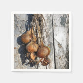 ONIES SERVETTEN (Voorkant)