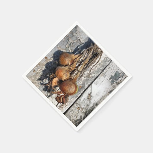 ONIES SERVETTEN (Hoek)