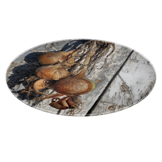 ONIES SNIJPLANK (Hoek)