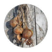 ONIES SNIJPLANK (Voorkant)