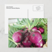 Onion Bundle Briefkaart (Voorkant / Achterkant)