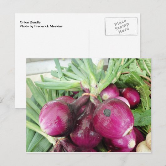 Onion Bundle Briefkaart (Voorkant / Achterkant)