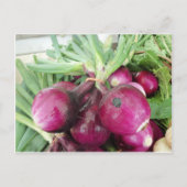 Onion Bundle Briefkaart (Voorkant)