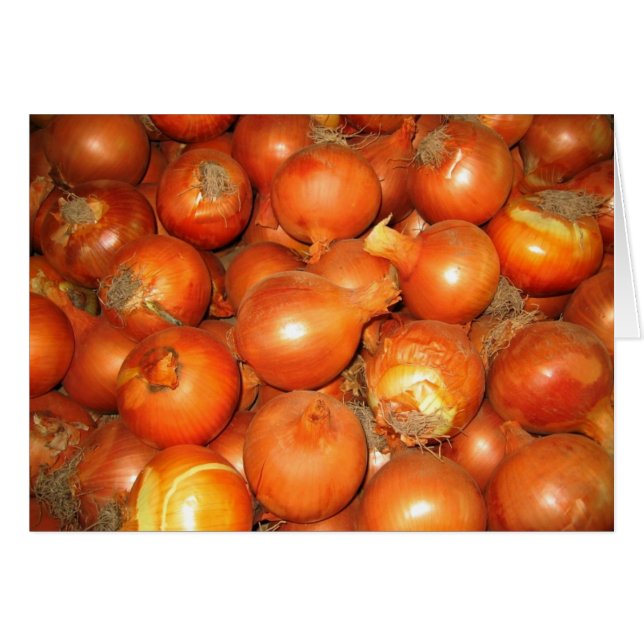 Onion Delight (Voorkant Horizontaal)