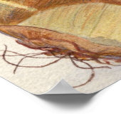 Onion Soup? Poster (Hoek)