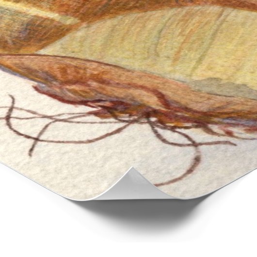 Onion Soup? Poster (Hoek)