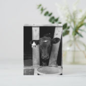 onkruid briefkaart (Staand voorkant)