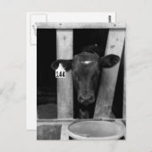 onkruid briefkaart (Voorkant / Achterkant)