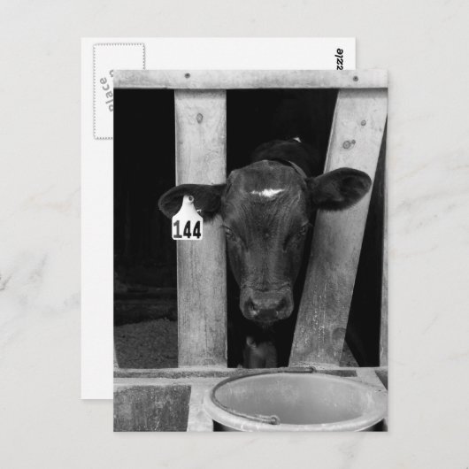 onkruid briefkaart (Voorkant / Achterkant)