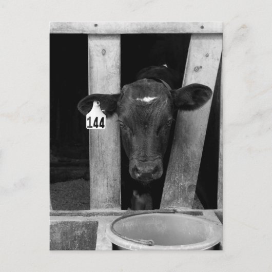 onkruid briefkaart (Voorkant)