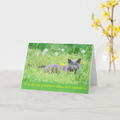 "Onkruid is het idee van mensen..." Happy Spring K Kaart (Gele Bloem)