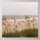 onkruid poster (Voorkant)