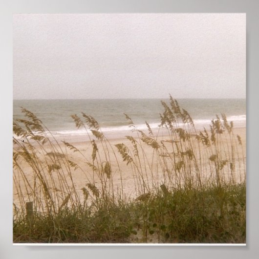 onkruid poster (Voorkant)