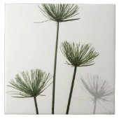 onkruid tegeltje (Voorkant)